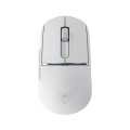 Turtle Beach Burst II Pro - White