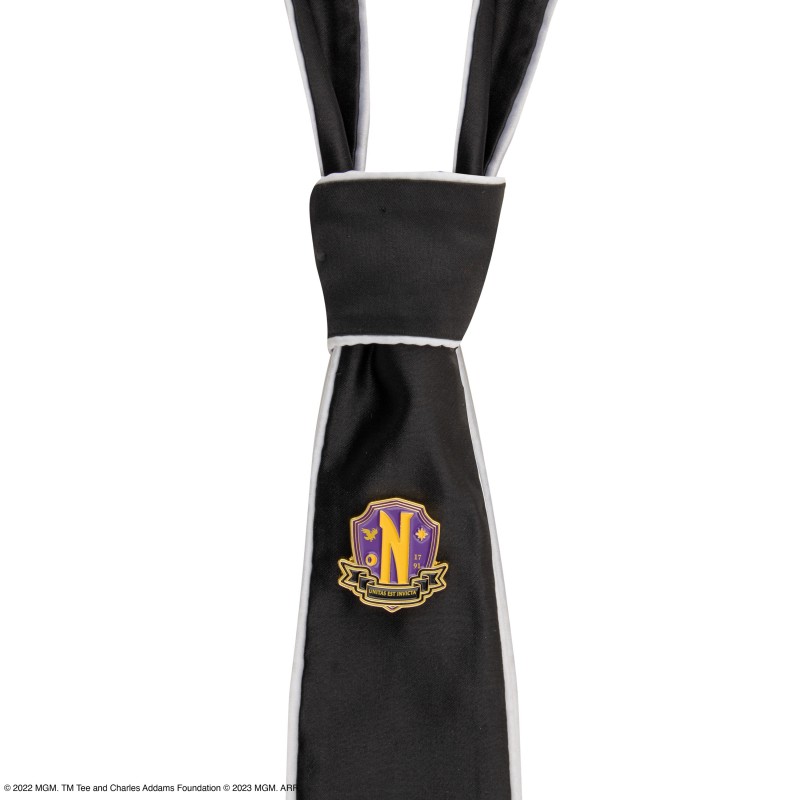 Nevermore Deluxe Necktie &amp; Pin