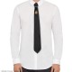 Nevermore Deluxe Necktie &amp; Pin