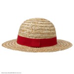 One Piece Straw Hat Luffy