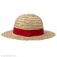 One Piece Straw Hat Luffy