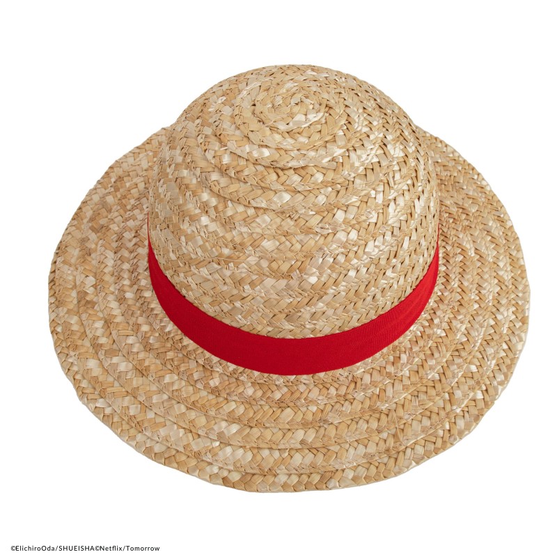 One Piece Straw Hat Luffy
