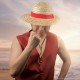 One Piece Straw Hat Luffy