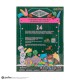 Advent Calendar Honeyduke 2025