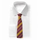 HP Entry Necktie Gryffindor Kids EU