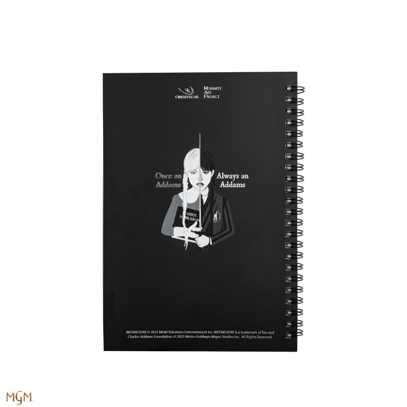 notebook  Wednesday with Cello