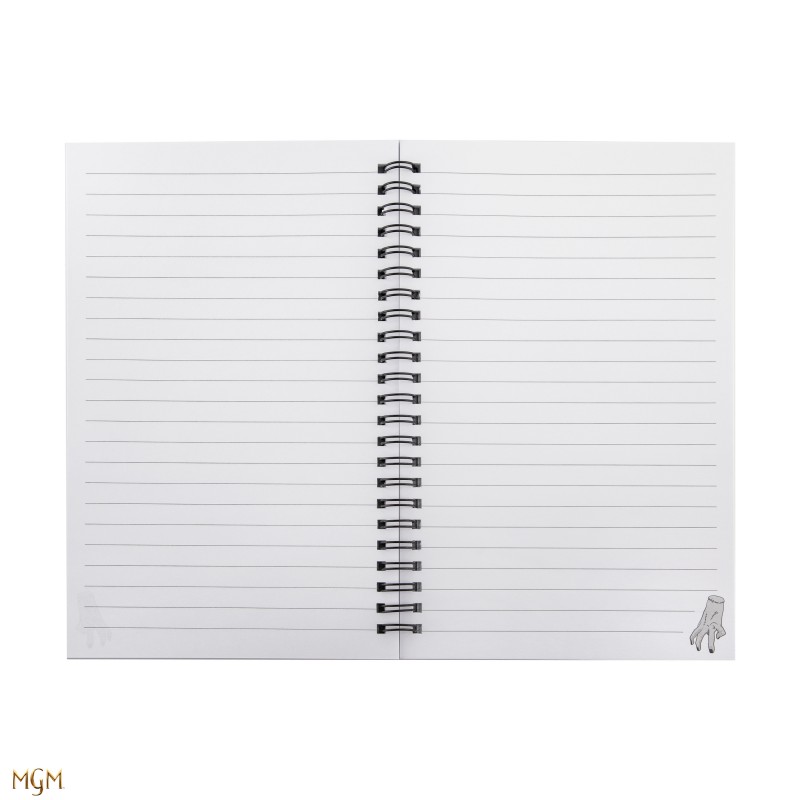 notebook  Wednesday with Cello