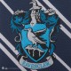 HP Necktie Woven Ravenclaw Kids