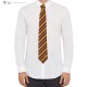 HP Necktie Deluxe Gryffindor