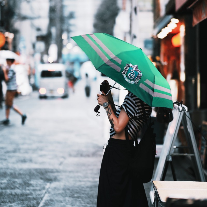 HP Umbrella Slytherin