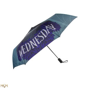Umbrella Wednesday with Cello