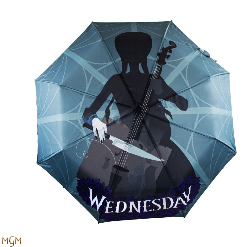 Umbrella Wednesday with Cello