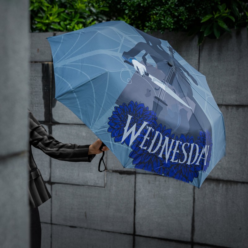 Umbrella Wednesday with Cello