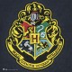 HP Wall banner Hogwarts