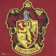 HP Wall banner Gryffindor