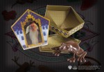 Harry Potter - Chocolate Frog Prop Replica