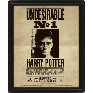 Wall Art - Harry Potter (Potter Sirius) Framed 20x25