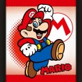 Wall Art - Super Mario (Yoshi) 3D 26x20