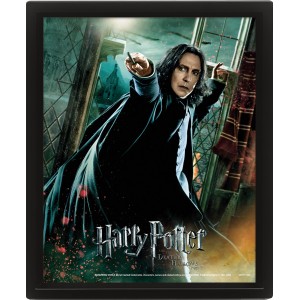 Wall Art - Harry Potter Snape 3D Framed 20x25