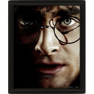 Wall Art - Harry Potter vs Voldemort 3D Framed 20x25