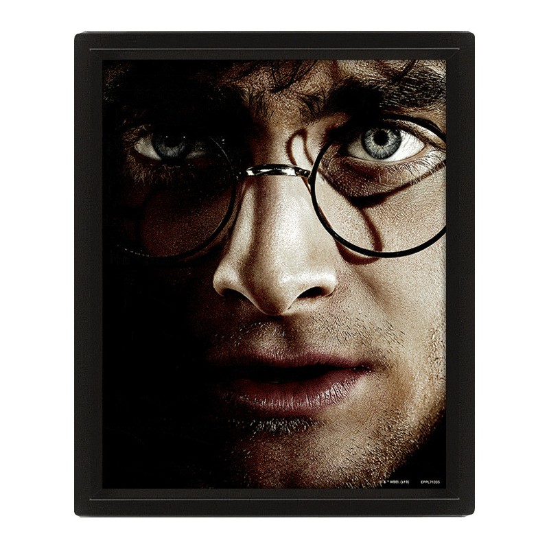 Wall Art - Harry Potter vs Voldemort 3D Framed 20x25