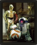 Wall Art - Star Wars (Droids) 3D Framed 20x25