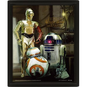 Wall Art - Star Wars (Droids) 3D Framed 20x25