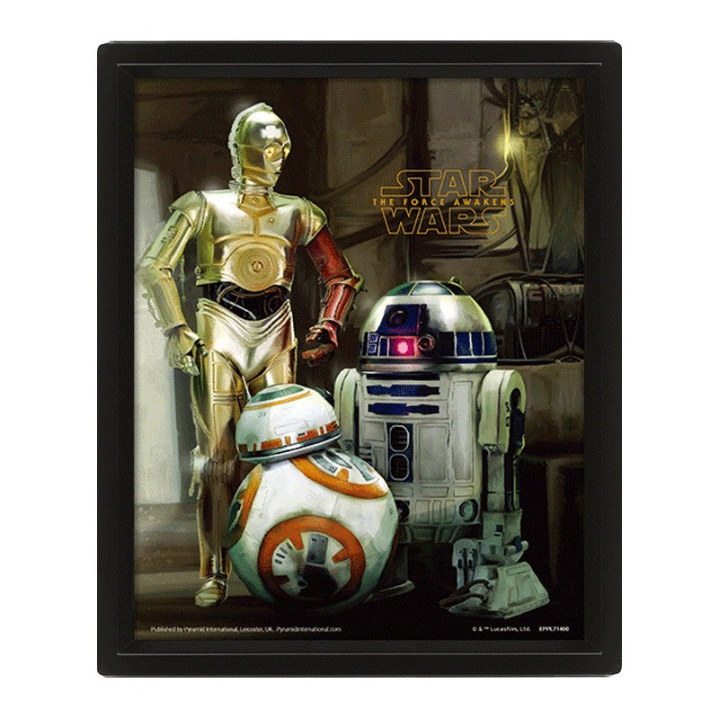 Wall Art - Star Wars (Droids) 3D Framed 20x25