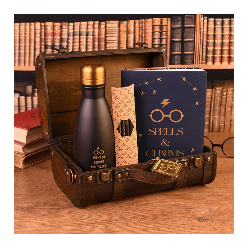 Harry Potter Trouble Finds Me Premium Gift Set