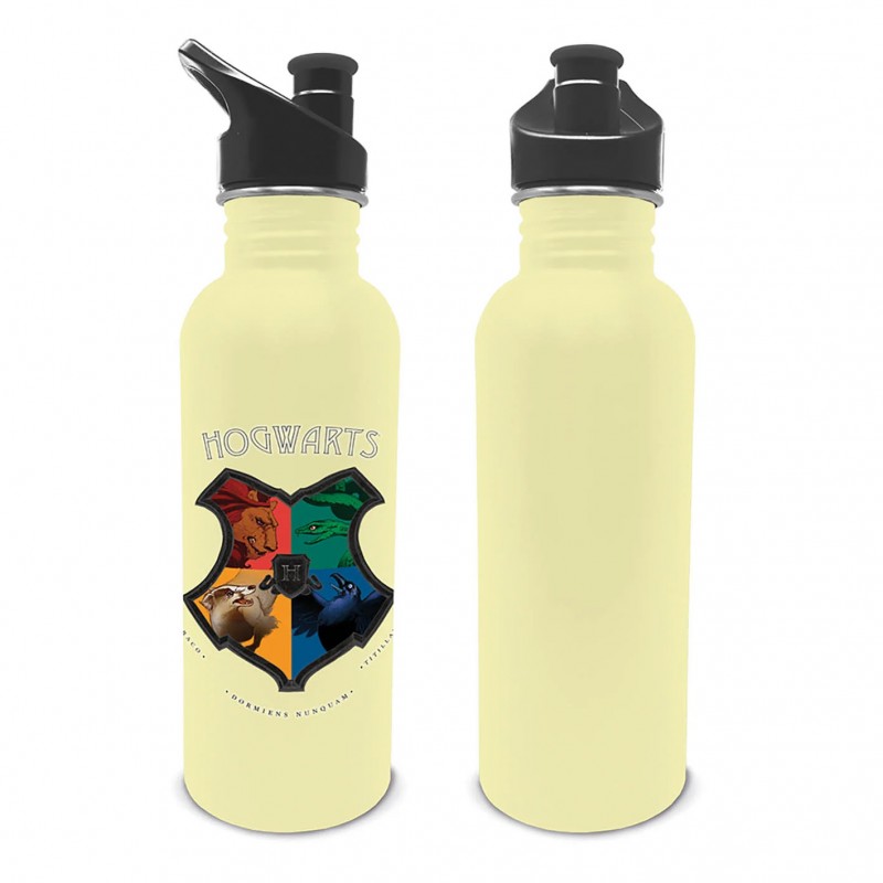 Metal Drinks Bottle Harry Potter (Intricate Houses)