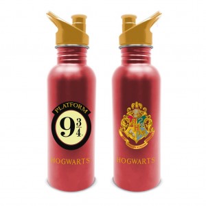 Harry Potter (Platform 9 3/4) Metal Canteen Drinks Bottle