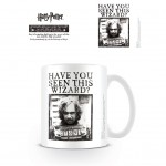 MUG HARRY POTTER (WANTED)