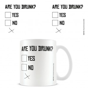 Mug Are You Drunk