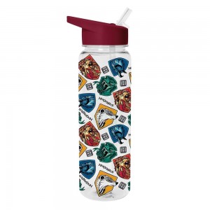 Plastic Drinks Bottle Harry Potter (Stand Together)