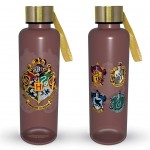 Slim Plastic Bottle Harry Potter (Colourful Crest Dark)