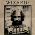 001 - Maxi Posters Harry Potter Wanted Sirius Black