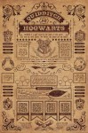 003 - Maxi Posters Harry Potter Quidditch At Hogwarts