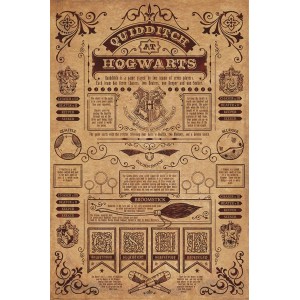 003 - Maxi Posters Harry Potter Quidditch At Hogwarts