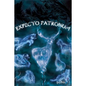 005 - Maxi Posters Harry Potter Patronus