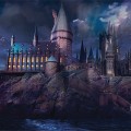 008 - Maxi Posters Harry Potter Hogwarts 61x91.5 cm