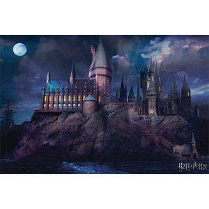 008 - Maxi Posters Harry Potter Hogwarts 61x91.5 cm