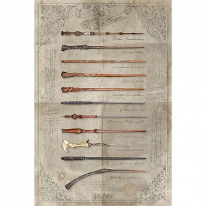 010 - Maxi Posters Harry Potter The Wand Chooses The Wizard