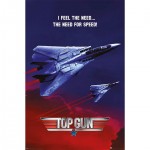 032 - Maxi Posters Top Gun (The Need For Speed)