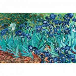 101 - Maxi Posters Van Gogh (Les Irises)