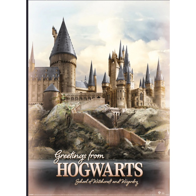 Boxed Posters - Harry Potter Diagon Alley, Hogwarts
