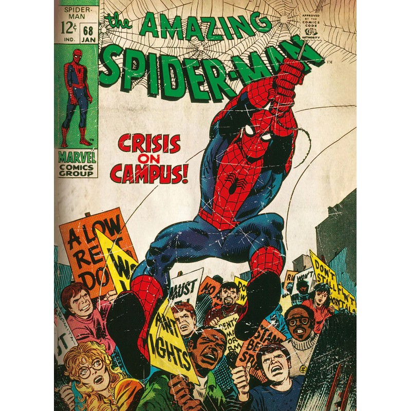 Boxed Posters  - MARVEL COMIC COVERS Spiderman&amp;Hulk