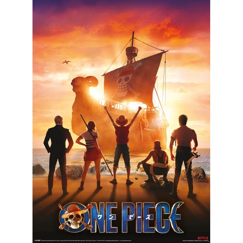 Boxed Posters - One Piece