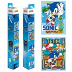 Boxed Posters - SONIC THE HEDGEHOG