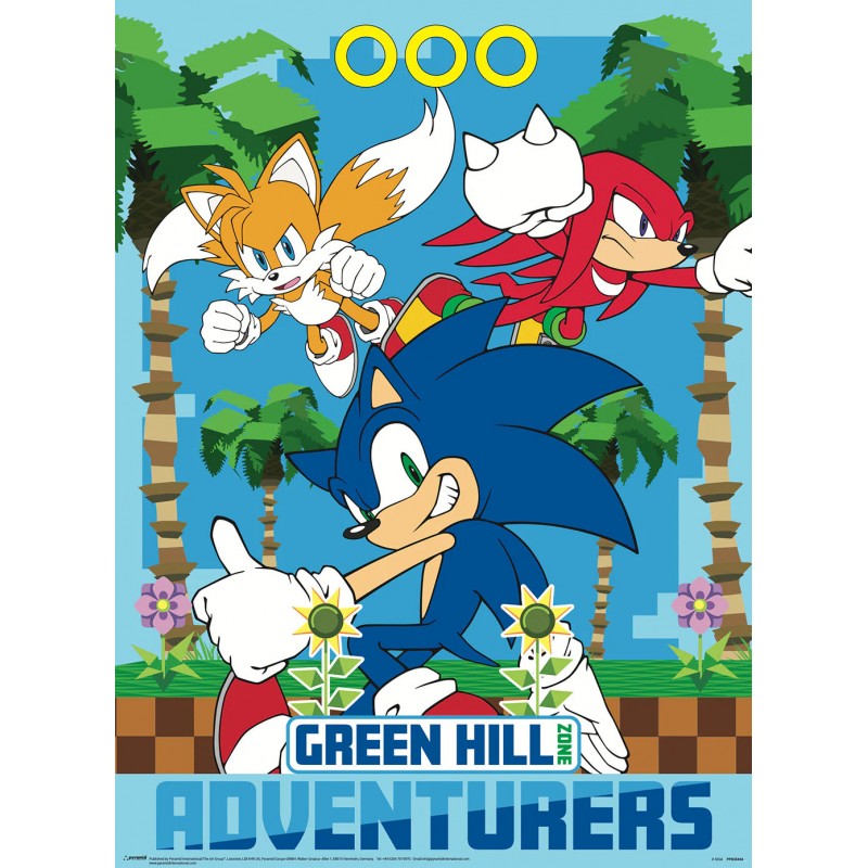 Boxed Posters - SONIC THE HEDGEHOG