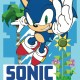 Boxed Posters - SONIC THE HEDGEHOG